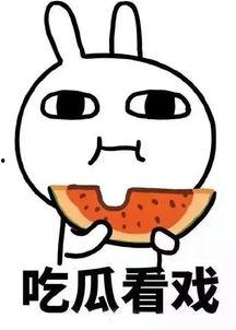 娱乐吃瓜酱理科,理科视角下的娱乐圈揭秘