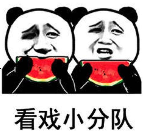娱乐吃瓜表情图片大全